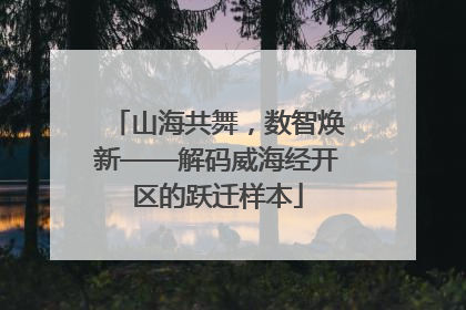 山海共舞，数智焕新——解码威海经开区的跃迁样本