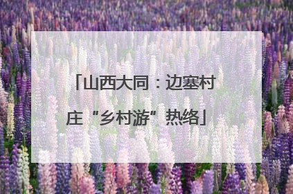山西大同：边塞村庄“乡村游”热络