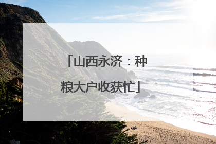 山西永济：种粮大户收获忙