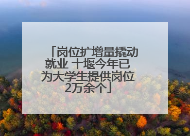 岗位扩增量撬动就业 十堰今年已为大学生提供岗位2万余个