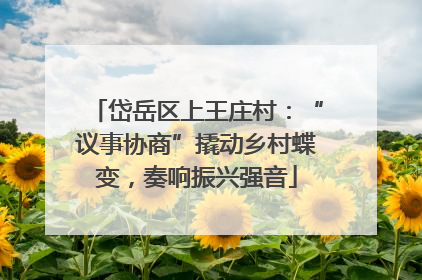 岱岳区上王庄村：“议事协商”撬动乡村蝶变，奏响振兴强音