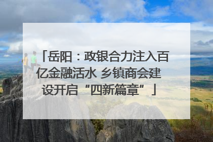 岳阳：政银合力注入百亿金融活水 乡镇商会建设开启“四新篇章”
