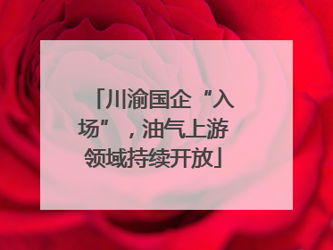 川渝国企“入场”，油气上游领域持续开放