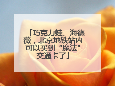 巧克力蛙、海德薇，北京地铁站内可以买到“魔法”交通卡了