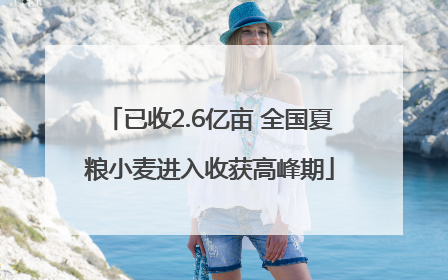 已收2.6亿亩 全国夏粮小麦进入收获高峰期