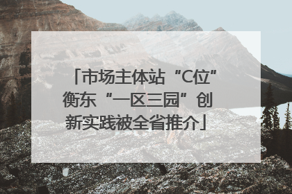 市场主体站“C位” 衡东“一区三园”创新实践被全省推介