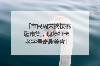 市民周末摘樱桃逛市集，现场打卡老字号奇趣美食