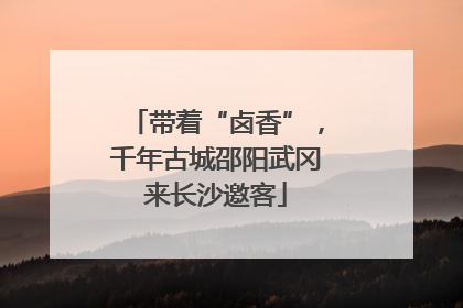 带着“卤香”，千年古城邵阳武冈来长沙邀客