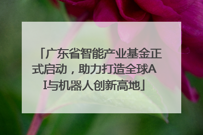 广东省智能产业基金正式启动，助力打造全球AI与机器人创新高地