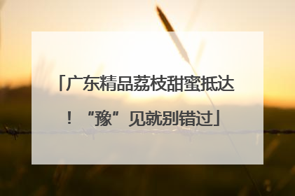 广东精品荔枝甜蜜抵达！“豫”见就别错过