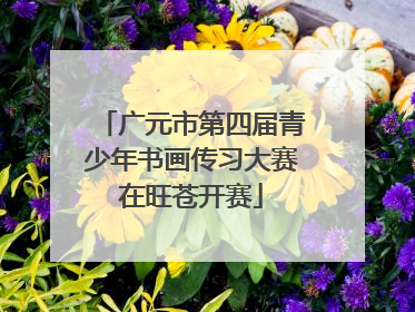 广元市第四届青少年书画传习大赛在旺苍开赛