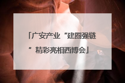 广安产业“建圈强链”精彩亮相西博会