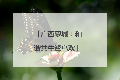 广西罗城：和谐共生鹭鸟欢