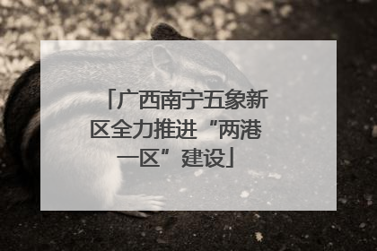 广西南宁五象新区全力推进“两港一区”建设