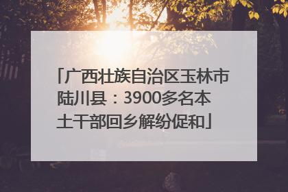广西壮族自治区玉林市陆川县：3900多名本土干部回乡解纷促和
