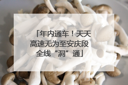 年内通车！天天高速无为至安庆段全线“洞”通
