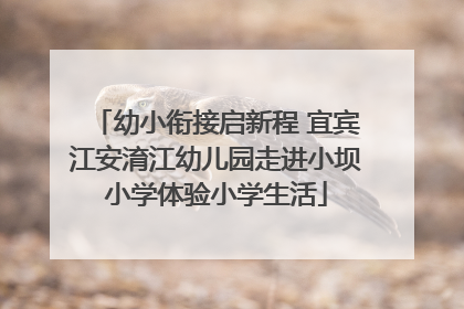 幼小衔接启新程 宜宾江安淯江幼儿园走进小坝小学体验小学生活