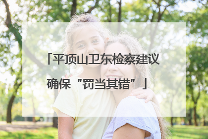 平顶山卫东检察建议确保“罚当其错”