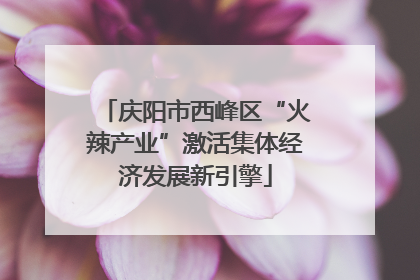庆阳市西峰区“火辣产业”激活集体经济发展新引擎