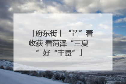 府东街丨“芒”着收获 看菏泽“三夏”好“丰景”