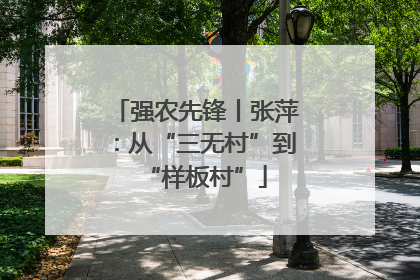 强农先锋丨张萍：从“三无村”到“样板村”