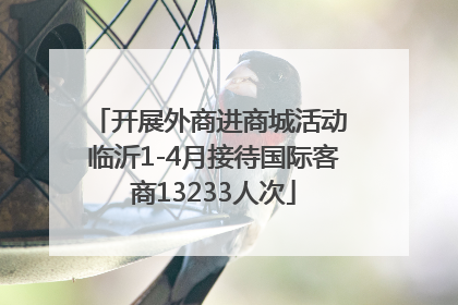 开展外商进商城活动 临沂1-4月接待国际客商13233人次