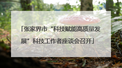 张家界市“科技赋能高质量发展”科技工作者座谈会召开
