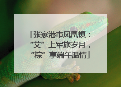 张家港市凤凰镇：“艾”上军旅岁月，“粽”享端午温情
