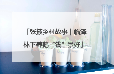 张掖乡村故事｜临泽林下养鹅“钱”景好