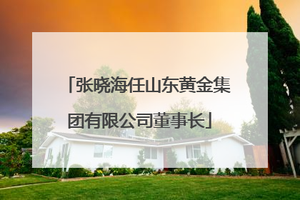 张晓海任山东黄金集团有限公司董事长
