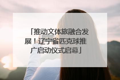 推动文体旅融合发展！辽宁省匹克球推广启动仪式启幕