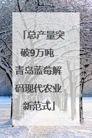 总产量突破9万吨 青岛蓝莓解码现代农业新范式