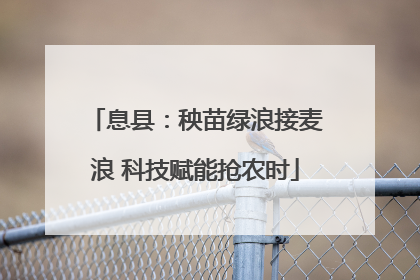 息县：秧苗绿浪接麦浪 科技赋能抢农时