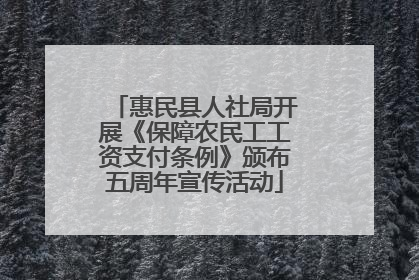 惠民县人社局开展《保障农民工工资支付条例》颁布五周年宣传活动