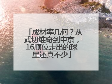 成材率几何？从武切维奇到申京，16顺位走出的球星还真不少