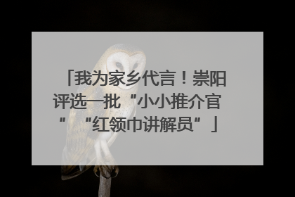我为家乡代言！崇阳评选一批“小小推介官”“红领巾讲解员”