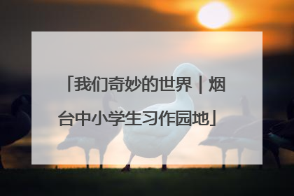 我们奇妙的世界｜烟台中小学生习作园地