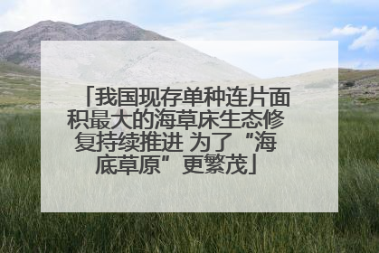 我国现存单种连片面积最大的海草床生态修复持续推进 为了“海底草原”更繁茂