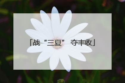 战“三夏” 夺丰收