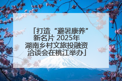 打造“避暑康养”新名片 2025年湖南乡村文旅投融资洽谈会在桃江举办