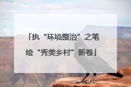 执“环境整治”之笔 绘“秀美乡村”新卷