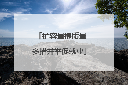 扩容量提质量 多措并举促就业