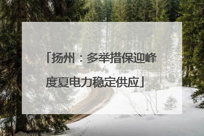 扬州：多举措保迎峰度夏电力稳定供应