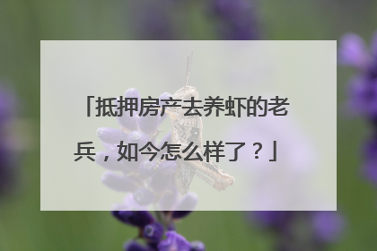 抵押房产去养虾的老兵，如今怎么样了？