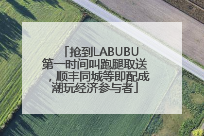 抢到LABUBU第一时间叫跑腿取送，顺丰同城等即配成潮玩经济参与者