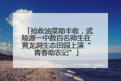 抢收油菜助丰收，武陵源一中数百名师生在黄龙洞生态田园上演“青春助农记”