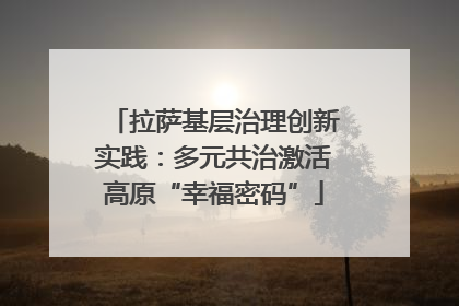 拉萨基层治理创新实践：多元共治激活高原“幸福密码”