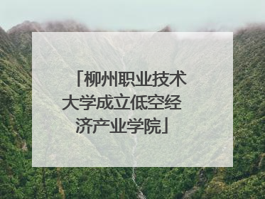柳州职业技术大学成立低空经济产业学院