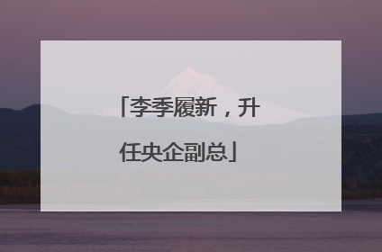 李季履新，升任央企副总