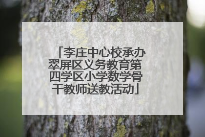 李庄中心校承办翠屏区义务教育第四学区小学数学骨干教师送教活动